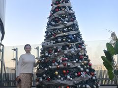 -Hi City·城市之巅