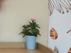 -德克士(什邡永辉超市店)