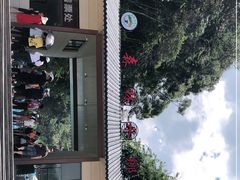 -龙岩森林水乡景区