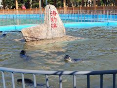-长岛南北长山旅游景区
