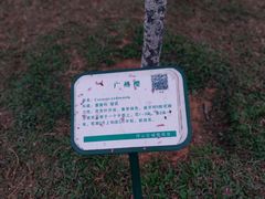 -聚龙山公园