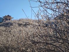 -广州市流溪河国家森林公园