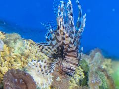 -泉城欧乐堡海洋极地世界