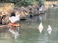 -兰亭风景区