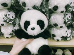 -成都大熊猫繁育研究基地