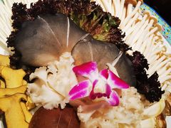 -南门四季铜锅涮肉(大屯·北苑店)