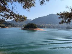 -广州市流溪河国家森林公园
