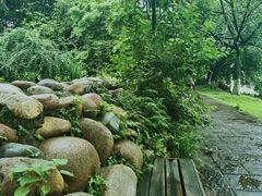 -成都市活水公园
