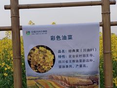 -中国天府农业博览园