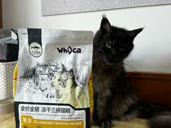 -宠颐生斯嘉宠物医院·急重症·心内科(谷阳北路分院)