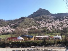 -中华福寿山