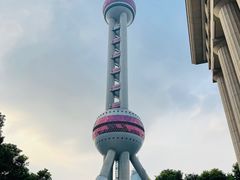 -上海大自然野生昆虫馆(东方明珠·爬宠昆虫探索中心)