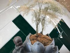 -BoBloom花店(晶耀前滩店)