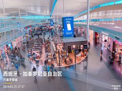 -巴塞罗那约瑟·塔拉德利亚斯-埃尔·普拉特机场