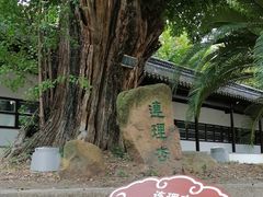 -苏州文庙(姑苏区)
