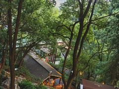 -巴倒烫陆派重庆火锅(南山店)