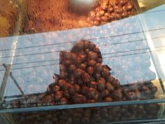 -杨记板栗(天虹总店)