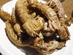 -东戴河风景区-止锚湾