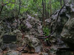 -杭州西湖风景名胜区-三生石
