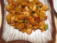 -大眼锅贴水饺(河东店)