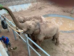 -西霞口神雕山野生动物世界