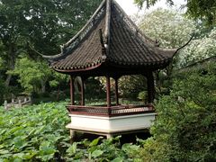 -上海醉白池公园