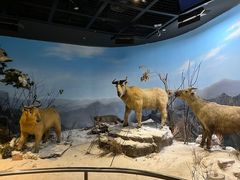 -陕西自然博物馆