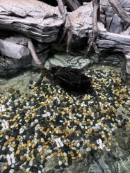 -Zoolung Zoolung动物主题公园(海信广场店)