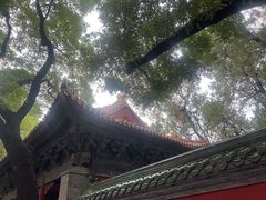-北京国子监胡同