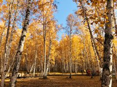 -北极村旅游风景区