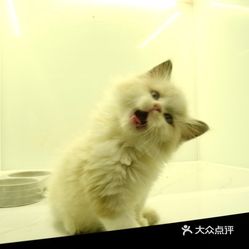 PTUXLIImJHMPBTCttwIPY4xqAbSTNFhceAMi_GdQrEAVnBGjkhpKEC5GfeK-Ez0-uzFvxlbkWx5uwqY2qcjixFEuLYk00OmSS1IdNpm8K8sG4JN9RIm2mTKcbLtc2o2vfCF2ubeXzk49OsGrXt_KYDCngOyCwZK-s3fqawWswzk.jpg