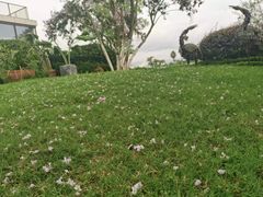 -云里小坐·海泉湾·团建·宴席·下午茶(金堂海泉湾店)