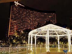 -拉斯维加斯永利酒店