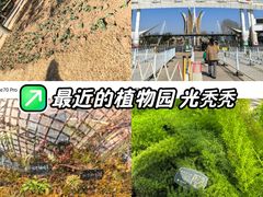 -石家庄市植物园