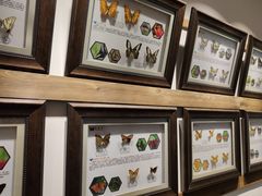 -玉渡山风景区-售票处