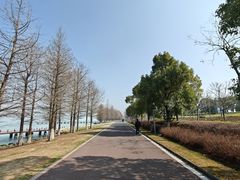 -苏州东太湖生态园