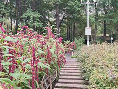 -黑龙江省森林植物园