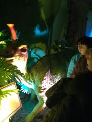 -恐龙探索乐园(磁器口店)