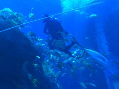 -成都浩海立方海洋公园