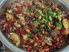 -食神又名厕所兔