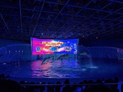 -海合安青岛极地海洋公园