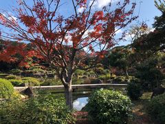 -天王寺公园