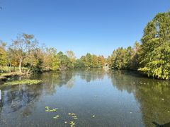 -上海海湾国家森林公园