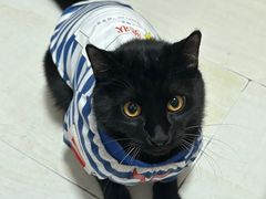 -萌兽医馆·犬猫专科·眼科中心·宠物医院(朝阳门分院)