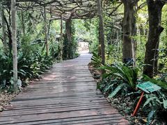 -广西壮族自治区药用植物园