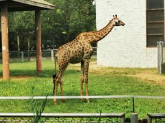 -石家庄市动物园