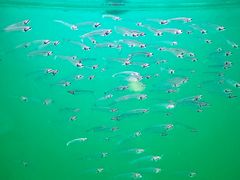 -青岛海底世界-水族馆