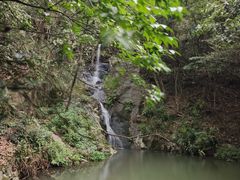 -宁波市保国寺古建筑博物馆