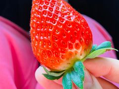 -上海龙吴水胜海发市场