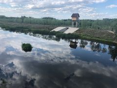 -东郊湿地公园